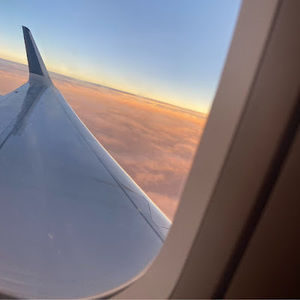 Meet your Posher, Ariella